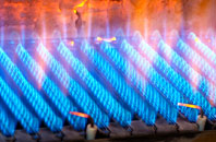 Leetown gas fired boilers